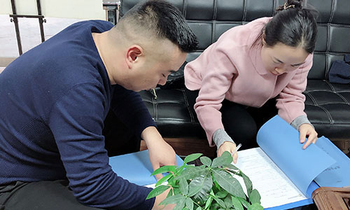 錦盾律所與房地產(chǎn)公司強(qiáng)強(qiáng)聯(lián)合