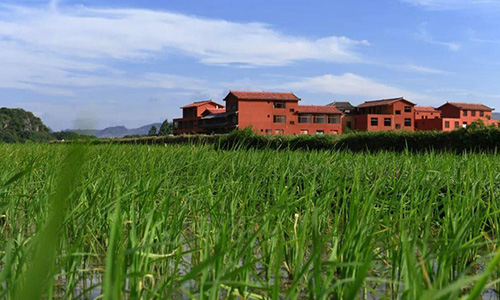 宅基地轉(zhuǎn)讓條件